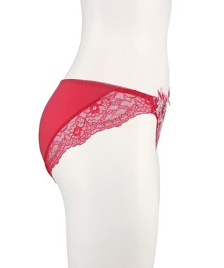 San-ai Resort（三愛水着楽園） エレガントコレクション2311ノーマルショーツ  【M・Lサイズ】【northerly】 レッド