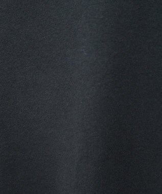 Green Parks ■ＲＵＳＳＥＬＬ　ロゴ刺繍スウェット Charcoal Gray