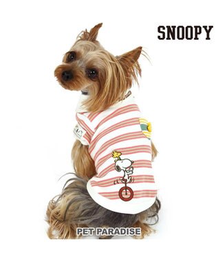  スヌーピー ポロシャツ 《ボーダー》 小型犬