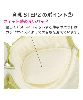 BRADELIS New York 【BRADELIS New York / 育乳補整ブラ・STEP2 寄せる】ナオミステップ2ブラ24S2 ライム
