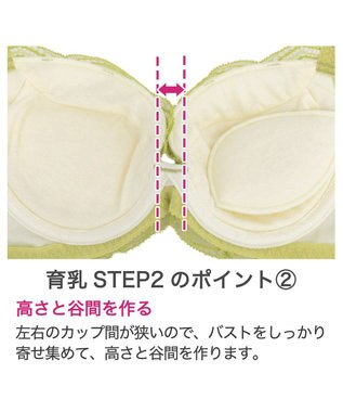 BRADELIS New York 【BRADELIS New York / 育乳補整ブラ・STEP2 寄せる】ナオミステップ2ブラ24S2 ライム