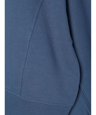 Green Parks ・ＳＵＧＡＲ　ＳＰＯＯＮ　ドルマンウラケスウェット Blue