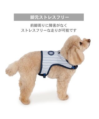PET PARADISE J.PRESS クールハーネス 《ストライプ》 ＳＳ 0