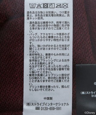 earth music&ecology Ｄｉｓｎｅｙ／レトロコミックハーフｚｉｐスウェット Red