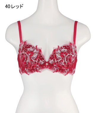 San-ai Resort（三愛水着楽園） 【エレガントコレクション2311】単品ブラＵ80カップ  【northerly】 レッド