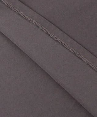 ANY SIS L ロゴ刺繍 Tシャツ スレート