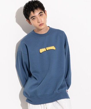 WEGO 【ユニセックス着用ITEM/MLサイズ展開/裏起毛】別注BENDAVISプランプロゴプルオーバー Dブルー