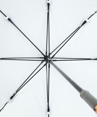 AURORA JILL STUART（ジル スチュアート）ミモザ刺しゅう晴雨兼用傘(長傘) オフホワイト