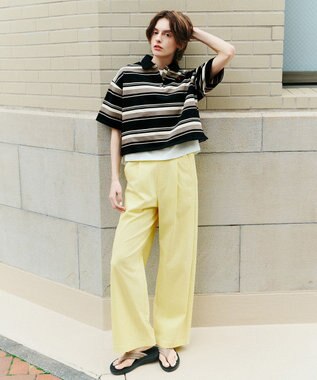 ANY 【POLO BCS別注】マルチカラー短丈ポロシャツ ブラックボーダー