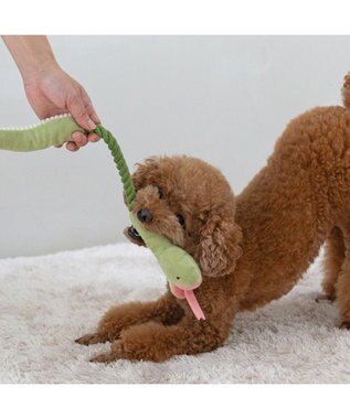 PET PARADISE ペットパラダイス 干支 へび ロープトイ グリーン
