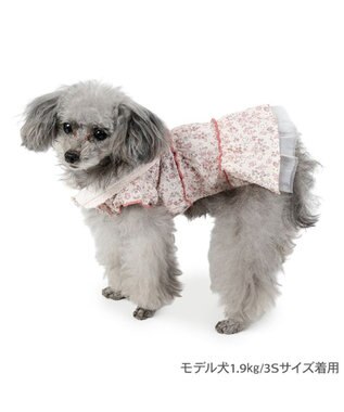 PET PARADISE ペットパラダイス レース襟 小花 ワンピース 小型犬 ライトピンク