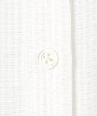 J.PRESS LADIES S 【洗える】アセVisシャドーギンガム タック ブラウス ホワイト系