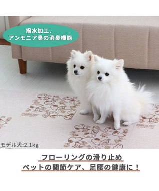 PET PARADISE スヌーピー マルチケアマット（30×30cm）8枚入り -
