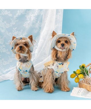 PET PARADISE リサとガスパール エコメイド シトラス ワンピース 小型犬 ホワイト×イエロー
