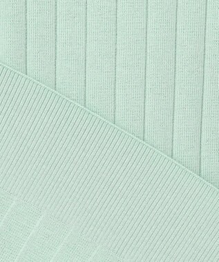 J.PRESS LADIES L 【洗える】Cotton Acetate ストライプ ニット プルオーバー ミント系