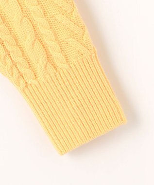 J.PRESS LADIES L 【WEB限定カラーあり・洗える】EIGER CORD ALAN クルーネックプルオーバー ニット イエロー系