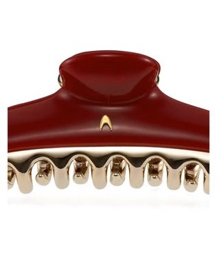 ACCA ルージュ ア レヴル クリップ セット その他