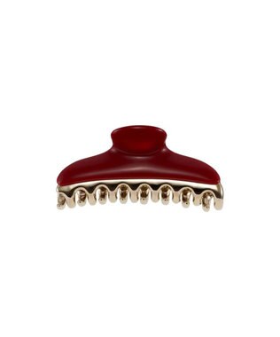 ACCA ルージュ ア レヴル クリップ セット その他