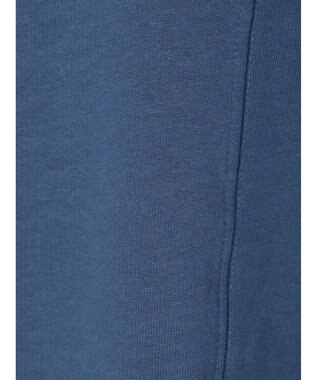 Green Parks ・ＳＵＧＡＲ　ＳＰＯＯＮ　ドルマンウラケスウェット Blue