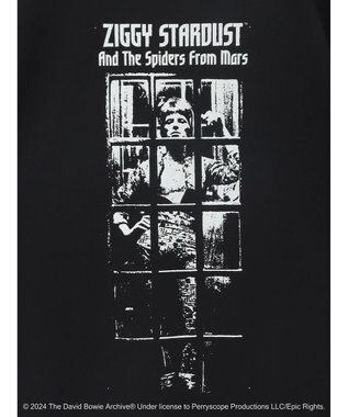 Green Parks ■Ｄａｖｉｄ　Ｂｏｗｉｅ　ＡＬＢＵＭ　ＣＯＶＥＲ　ＴＥＥ Black