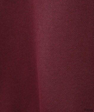 earth music&ecology Ｄｉｓｎｅｙ／レトロコミックハーフｚｉｐスウェット Red