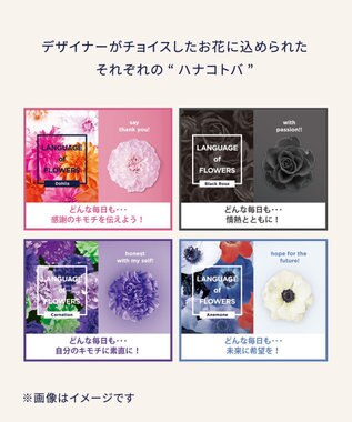 WACOAL MEN ブリーフ 【ハナコトバパンツ】 フロント立体設計 誕生日 記念日 前閉じ 下着 メンズ GF2221 /ブロス バイ ワコールメン ブラック