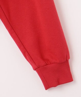 NAVE タブチ×NAVE ロゴフーディ レッド系