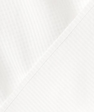 J.PRESS LADIES S 【洗える】アセVisシャドーギンガム タック ブラウス ホワイト系