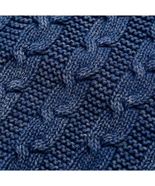 PET PARADISE J.PRESS 綿ケーブルニット 小型犬 ネイビー