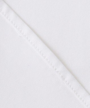 GOTAIRIKU 【形態安定】PREMIUMPLEATS_スナップダウン_通年ドレスシャツ（無地/織柄） 無地/ホワイト系