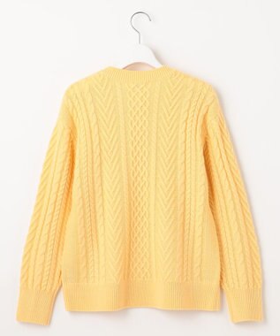 J.PRESS LADIES L 【WEB限定カラーあり・洗える】EIGER CORD ALAN クルーネックプルオーバー ニット イエロー系