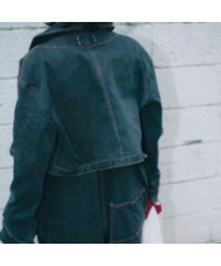 woadblue Short Zip Up Jacket/WBN4120 GREY