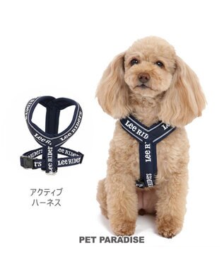 犬 ハーネス lee ライダース ss アクティブハーネス Pet Paradise ファッション通販 公式通販 オンワード クローゼット 犬 ハーネス lee ライダース ss アクティブハーネス Pet Paradise ファッション通販 公式通販 オンワード クローゼット