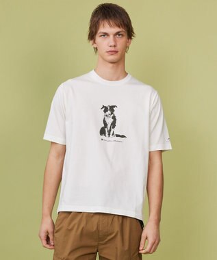 JOSEPH ABBOUD MOUNTAIN 【日本製・アーティストコラボレーション】プレーティング天竺Tシャツ ホワイト系ボーダーコリー