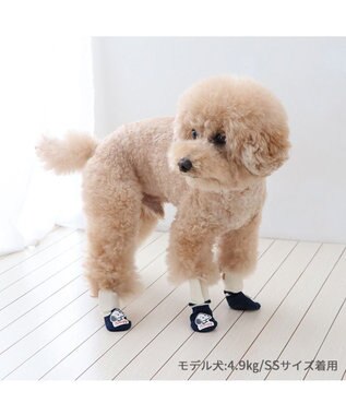 PET PARADISE スヌーピー makokoro スリット 靴下 Ｓ 小型犬 紺(ネイビー・インディゴ)