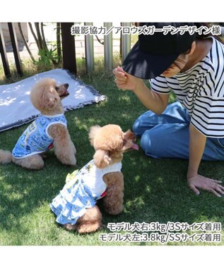 PET PARADISE スヌーピー エコメイド ワンピース 《バケーション柄》 小型犬 バケーション柄