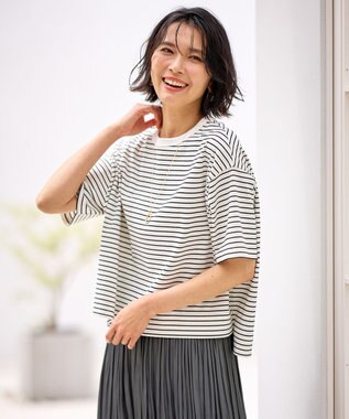 ANY L フライスワイドTシャツ ボーダー