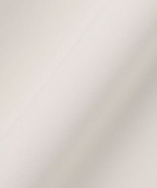 J.PRESS LADIES 【WEB限定カラーあり・洗える】セラテリーダブルクロス フレアー スカート ベージュ系