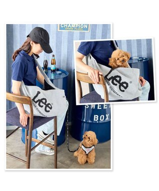 PET PARADISE Lee スリングバッグ Ｍ 小型犬 グレー