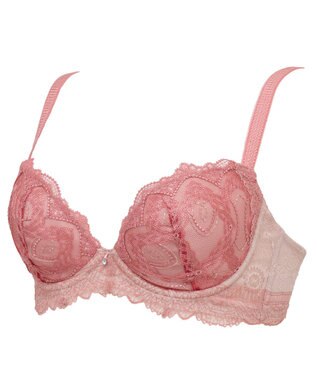 BRADELIS New York 【BRADELIS New York/ 育乳補整ブラ・STEP2 寄せる】ベルステップ2ブラ25A1 谷間を作ってキープ テラコッタ