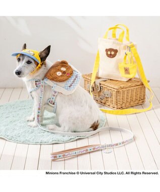 PET PARADISE ミニオン ティム お花柄 リード ＳＳ～Ｓ ブルー