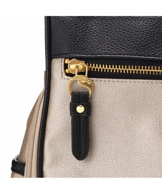 ACE BAGS & LUGGAGE soelte カランド2 お買い物キャリー ショッピングカート 16L 35984 ソエルテ ベージュ