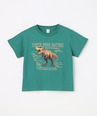 ANY KIDS 【洗濯機可能】恐竜プリント 半袖Tシャツ グリーン
