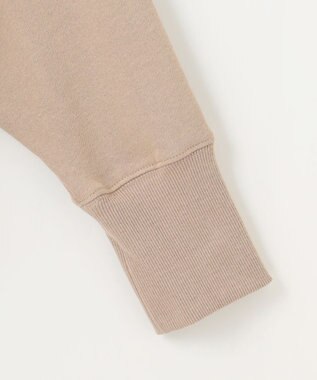 ANY 裏毛フーディ モカ