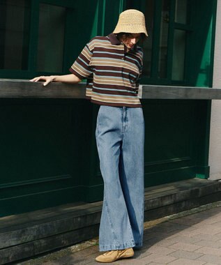 ANY 【POLO BCS別注】マルチカラー短丈ポロシャツ ブラウンボーダー