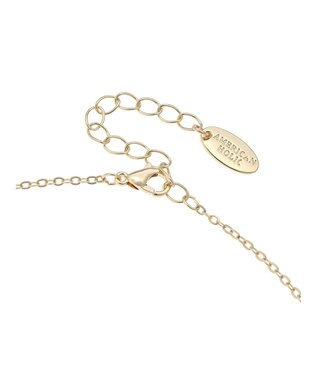 AMERICAN HOLIC コイン２ＳＥＴネックレス Silver