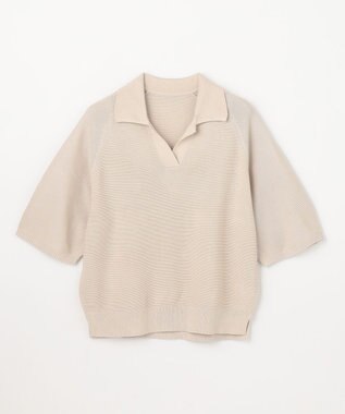 ANY L アクリルガーターポロ衿ニット グレージュ