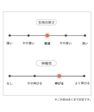 PET PARADISE スヌーピー バースデーＴシャツ 中型犬 白~オフホワイト