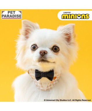 PET PARADISE ミニオン 首輪 《チェック柄》 Ｓ