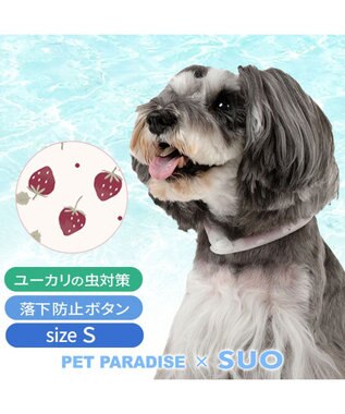 PET PARADISE ペットパラダイス 28℃クールリング  《いちご》 Ｓ 小型犬